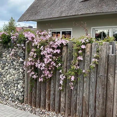 Kleine Seenixe Holiday home Zingst